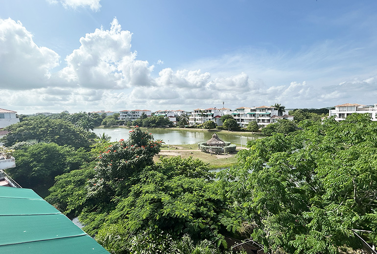 Vista