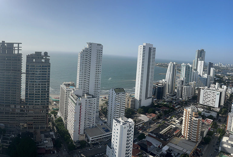 Vista