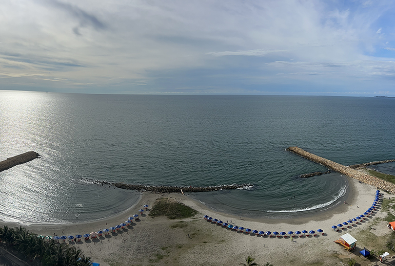 Vista