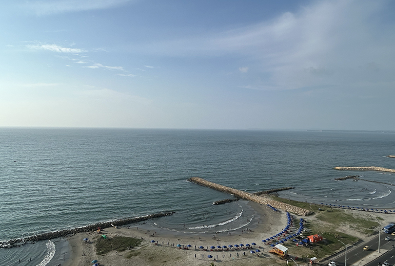 Vista