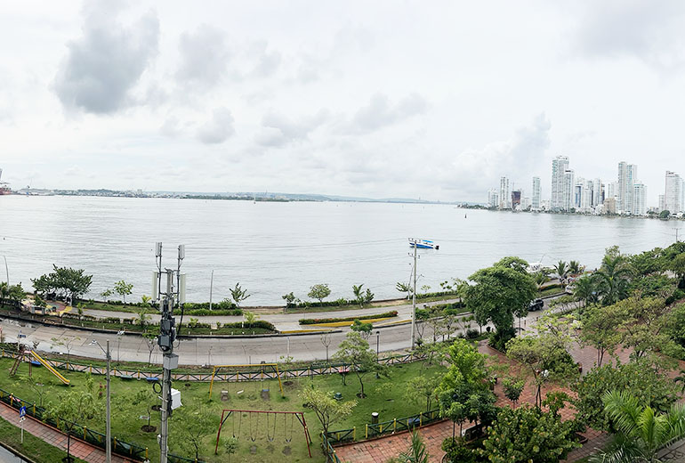 Vista