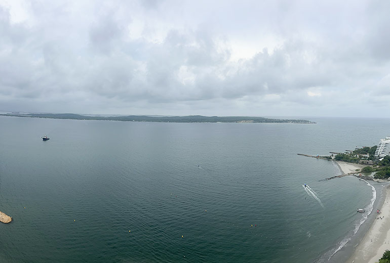 Vista